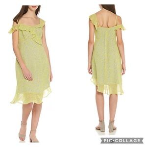 Nanette Lepore Ruffled Chiffon Asymmetric Daisy Dress Size 2
